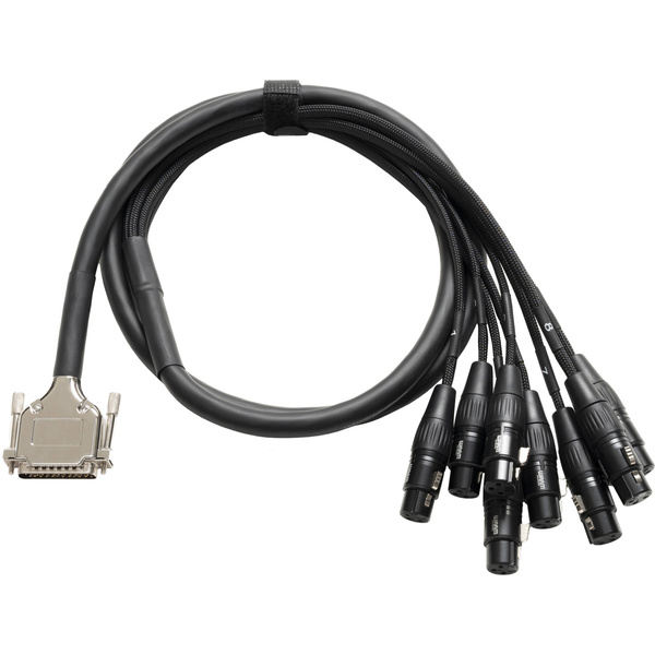 Warm Audio - Kabel Audio PREMIER DB25 - XLRf 6.1m