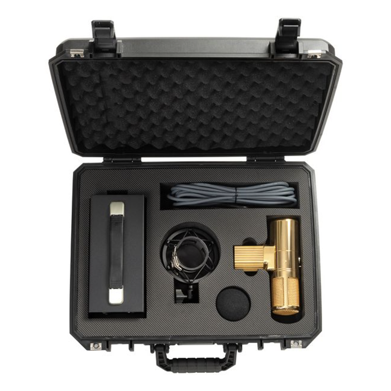 Warm Audio WA-8000 Gold - Mikrofon Lampowy